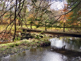 picture taken during a hike