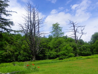 picture taken during a hike