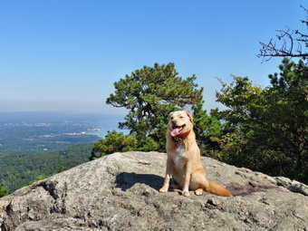 picture taken during a hike