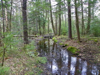 picture taken during a hike