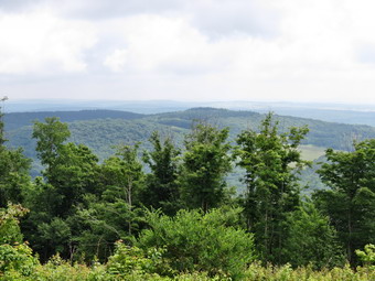 picture taken during a hike