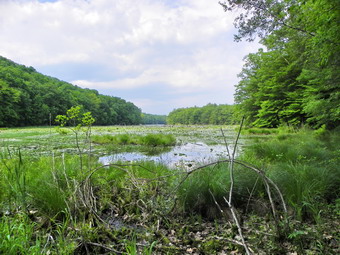 picture taken during a hike