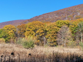 picture taken during a hike