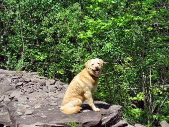 picture taken during a hike