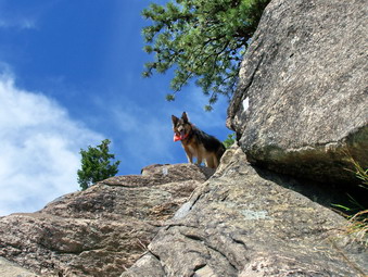 picture taken during a hike