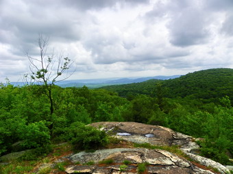 picture taken during a hike