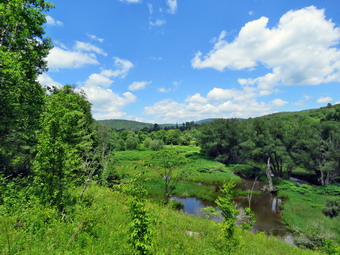 picture taken during a hike