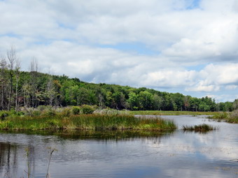 picture taken during a hike