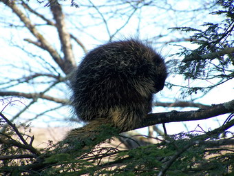 picture taken during a hike