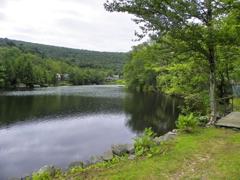 picture taken during a hike