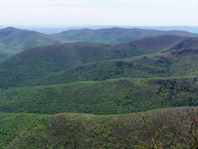 picture taken during a hike