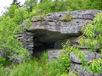 picture taken during a hike