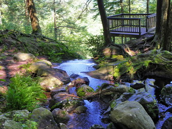 picture taken during a hike