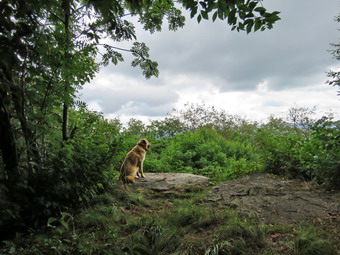 picture taken during a hike