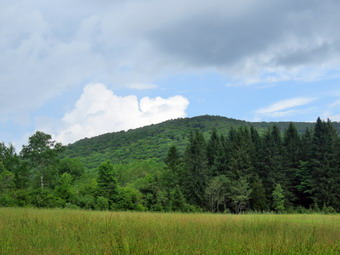 picture taken during a hike