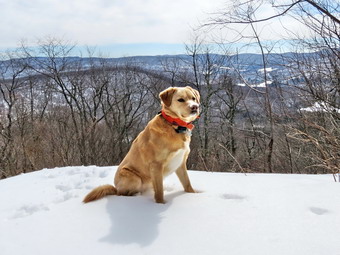 picture taken during a hike