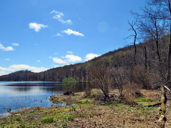 picture taken during a hike