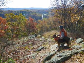 picture taken during a hike