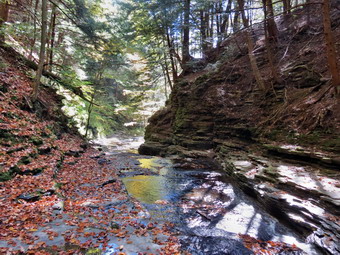 picture taken during a hike