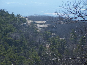 picture taken during a hike