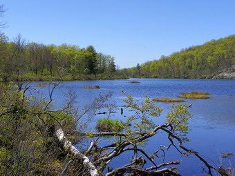 picture taken during a hike