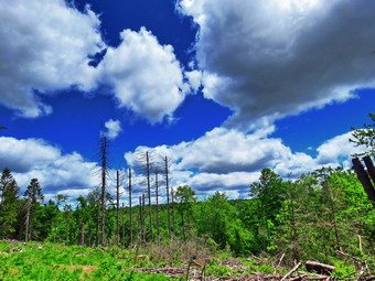 picture taken during a hike