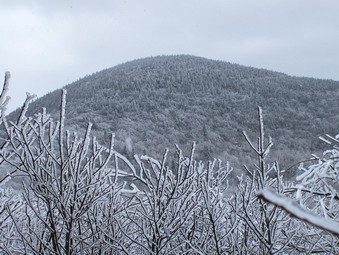 picture taken during a hike