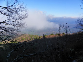 picture taken during a hike