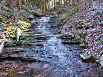 picture taken during a hike