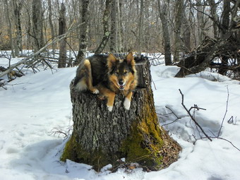 picture taken during a hike