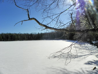 picture taken during a hike