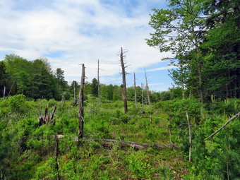 picture taken during a hike