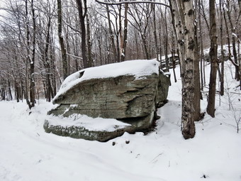 picture taken during a hike