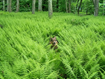 picture taken during a hike