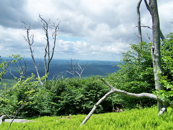 picture taken during a hike