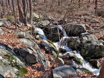 picture taken during a hike