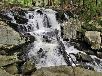 picture taken during a hike