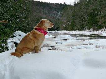 picture taken during a hike