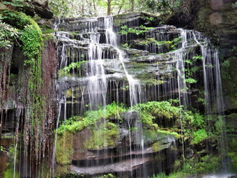 picture taken during a hike