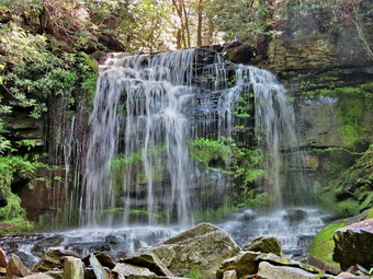 picture taken during a hike