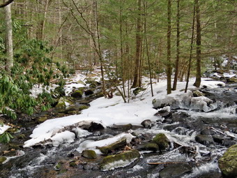 picture taken during a hike