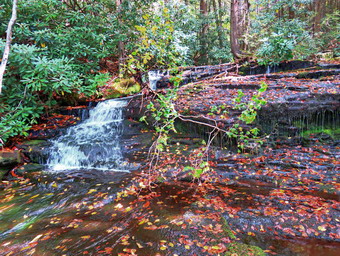 picture taken during a hike