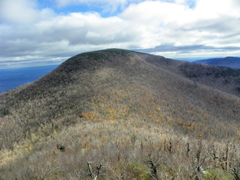 picture taken during a hike