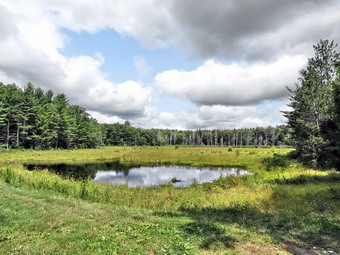 picture taken during a hike