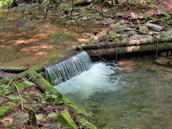 picture taken during a hike