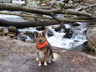 picture taken during a hike