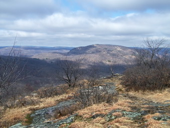 picture taken during a hike