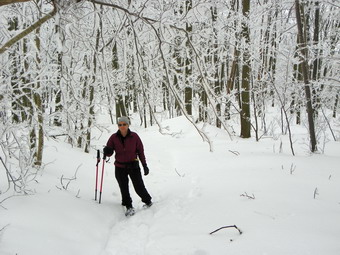 picture taken during a hike