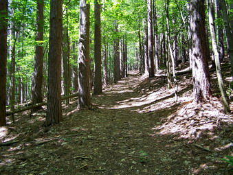 picture taken during a hike