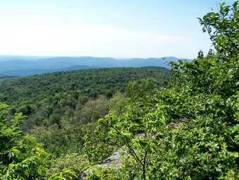 picture taken during a hike